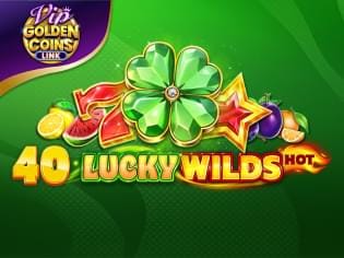 40 Lucky Wilds Hot Golden Coins Link VIP thumbnail